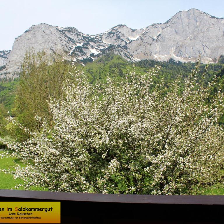 Haus Seeruhe - direkt am Grundlsee - Casa - 28
