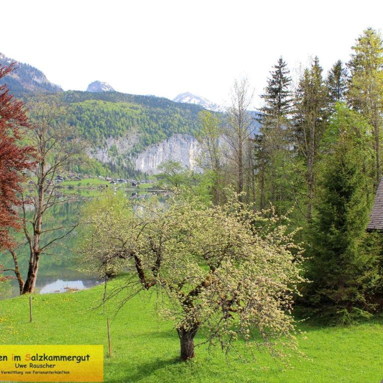 Haus Seeruhe - direkt am Grundlsee - Casa - 40