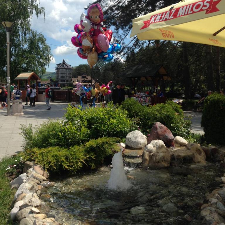 Apartment Kamencic - Apartman - 55