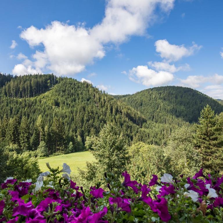 Gasthof Gasserhof - Superior Doppelzimmer mit Balkon - 1