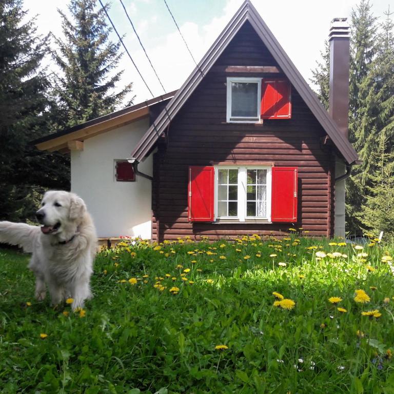 Snowhite Jahorina - Superior Chalet - 21