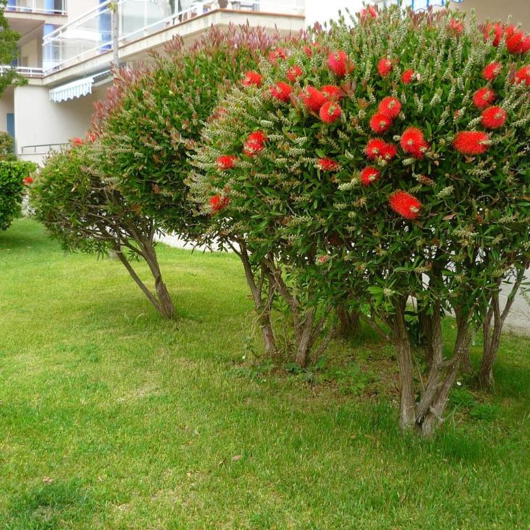 Piscines - Climatisation - Calme - WIFI - Plages - Vue - Bord de mer - Parking - Apartamento Ático - 21