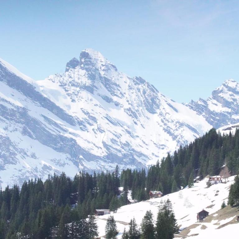 Sportchalet Mürren - Einzelbett im gemischten Schlafsaal - 3