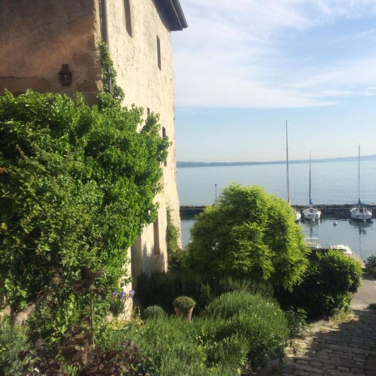 L'Alcôve d'Amédée V - Suite avec Terrasse - 8