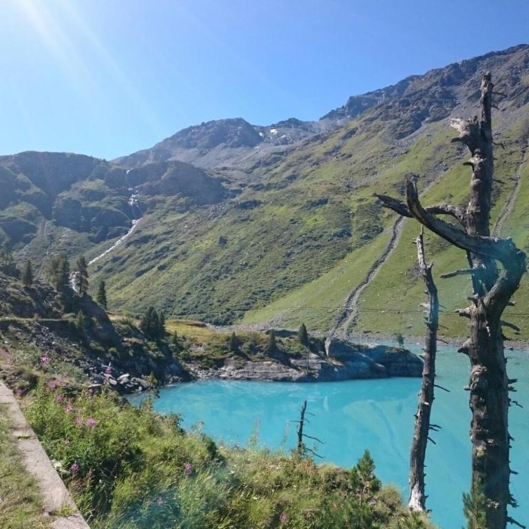 "Chalet le Dahlia - 4 Vallees" - Superior Chalet - 33