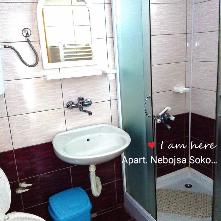 Apartments Nebojša - Apartman sa 1 Spavaćom Sobom - 2