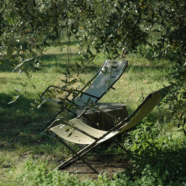 Agriturismo Tenuta la Pergola - Camera Matrimoniale con Vista Lago - 4