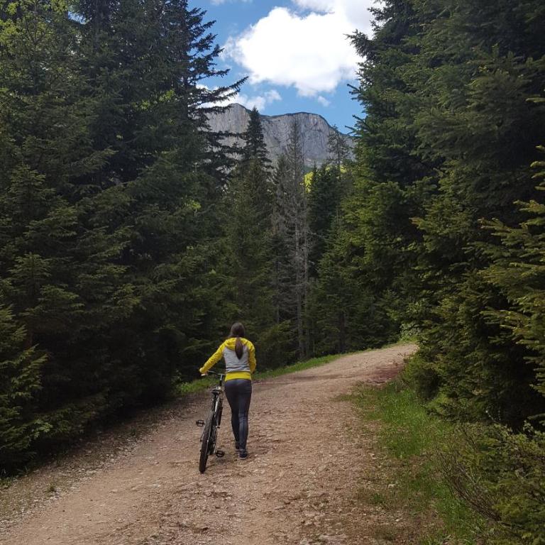 Apartmani Vila Zabljak - Villa - 30