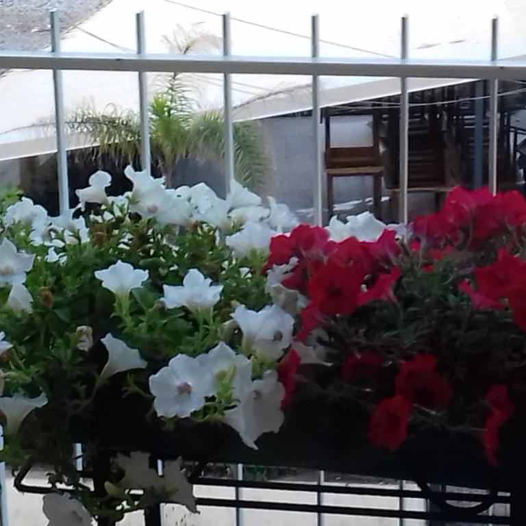 Acqua di Mare - Appartamento - 35