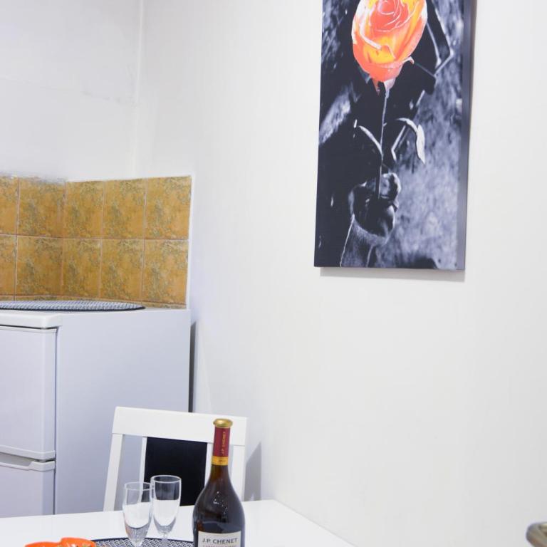 Apartment Marica Skadarlija - Superior Apartman - 11