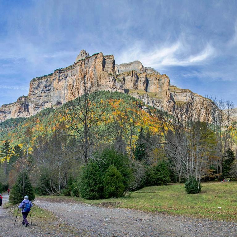 Apartamento Monte Perdido - Apartment - 25