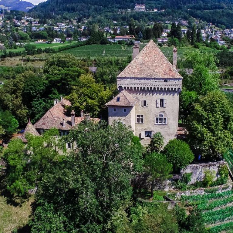 Château du Châtelard | Unique Apartment - Apartment - 15