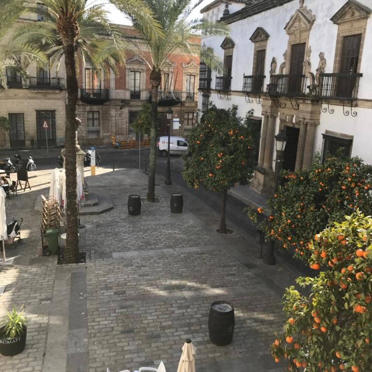 CASA PALACIO en Jerez de la Frontera con piscina privada - Casa de 5 dormitorios - 71