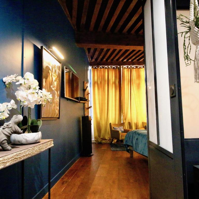3e secret en plein coeur du Vieux Lyon - Penthouse - 3