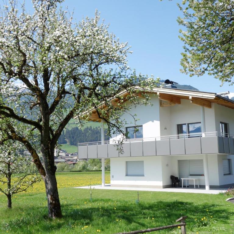 Apart Haun - Apartment - Erdgeschoss - 1