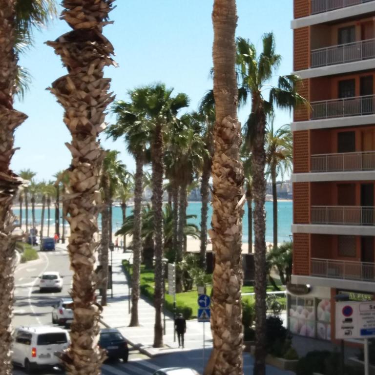 Acogedor Apartamento 2ª línea playa - Apartamento - 7