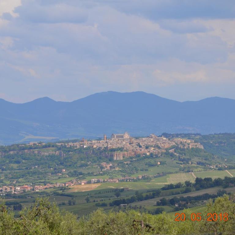 Feudi Spada casa vacanze - Casa Vacanze - 10