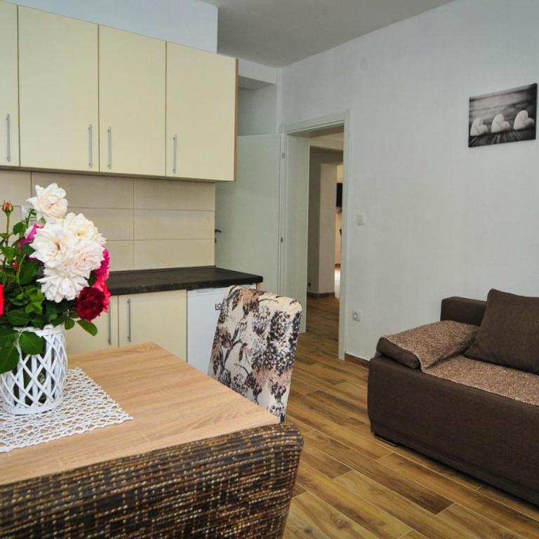 Apartmani Bekonja - One-Bedroom Apartment - 3