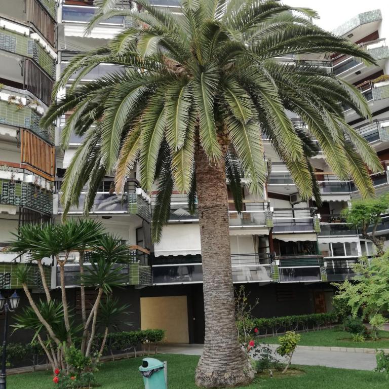 Anne - Apartamento - 54
