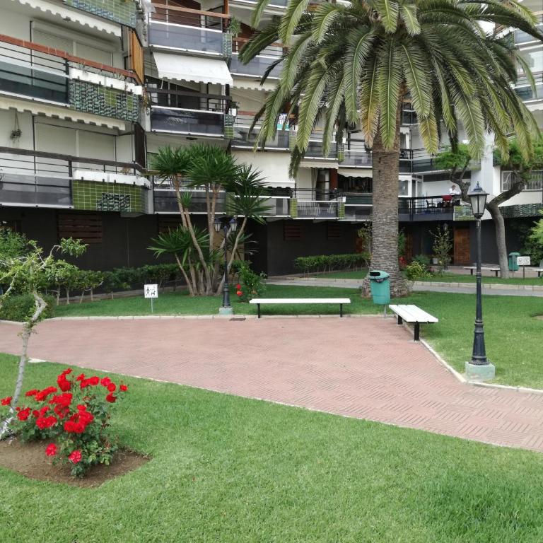 Anne - Apartamento - 56