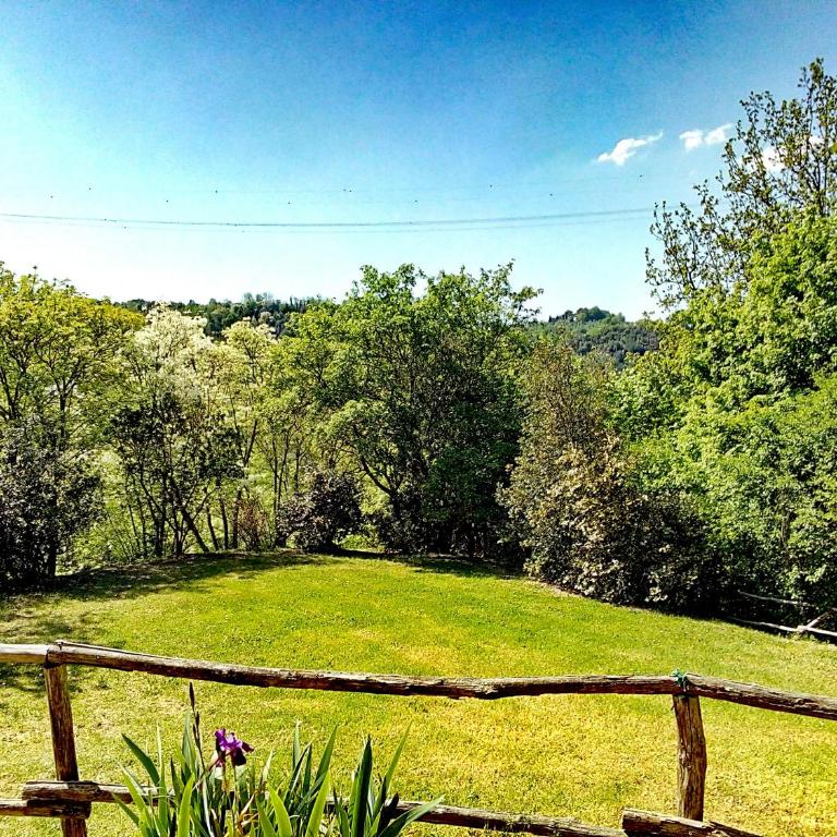 Casa nel bosco il Grottone - Casa Vacanze - 63