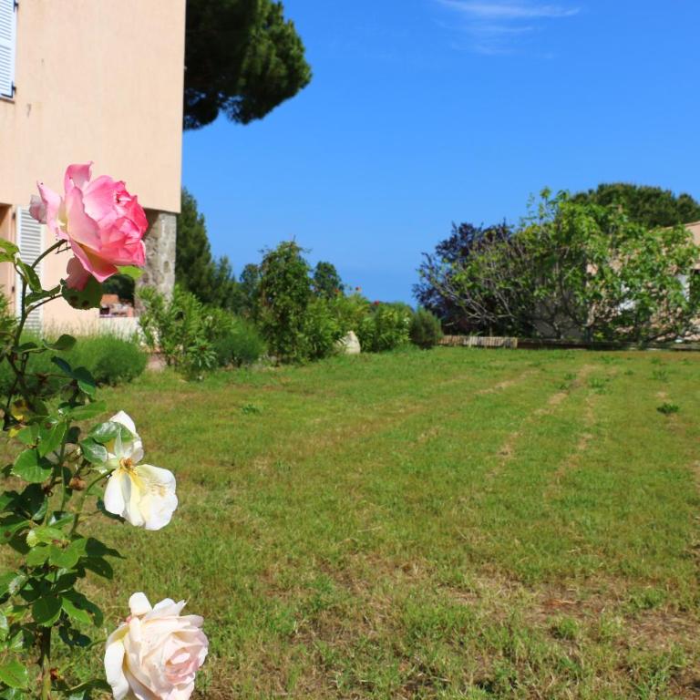 French Riviera - Vaugrenier - Appartement 2 Chambres - 16