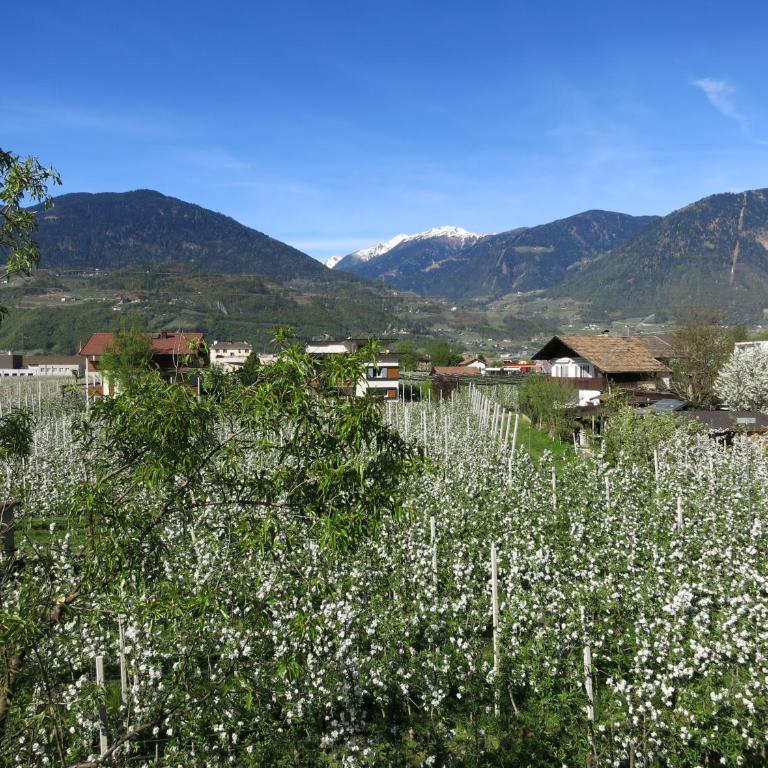 Feldererhof - Appartamento con 1 Camera da Letto - Balcone Sud-Ovest - 13