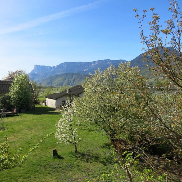 Feldererhof - Appartamento con 1 Camera da Letto - Balcone Sud - 12
