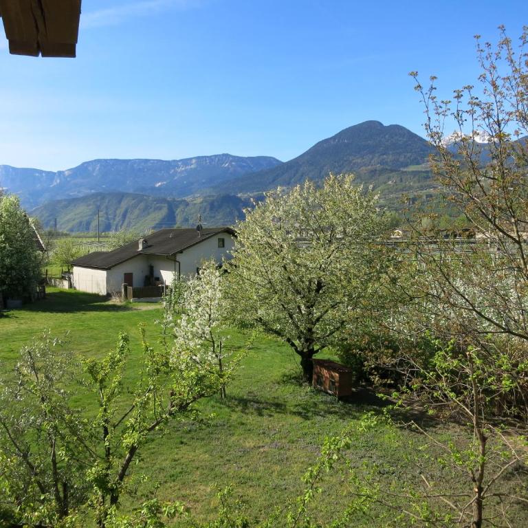 Feldererhof - Ampio Appartamento con 1 Camera da Letto - Balcone Sud - 8