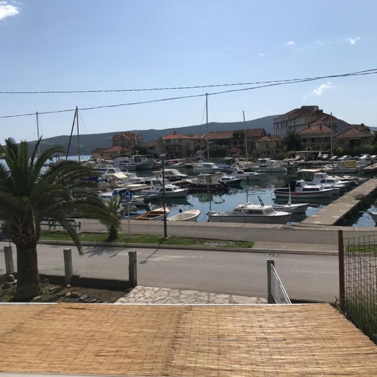 Apartments Porat - Apartman sa Terasom - 7