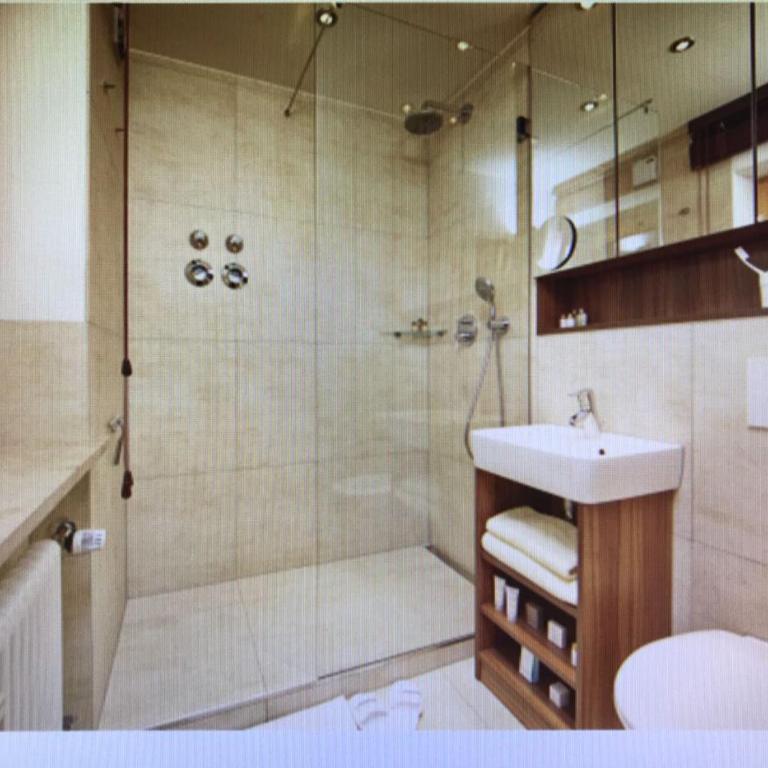 Evergreen Chalet - Apartment - 9