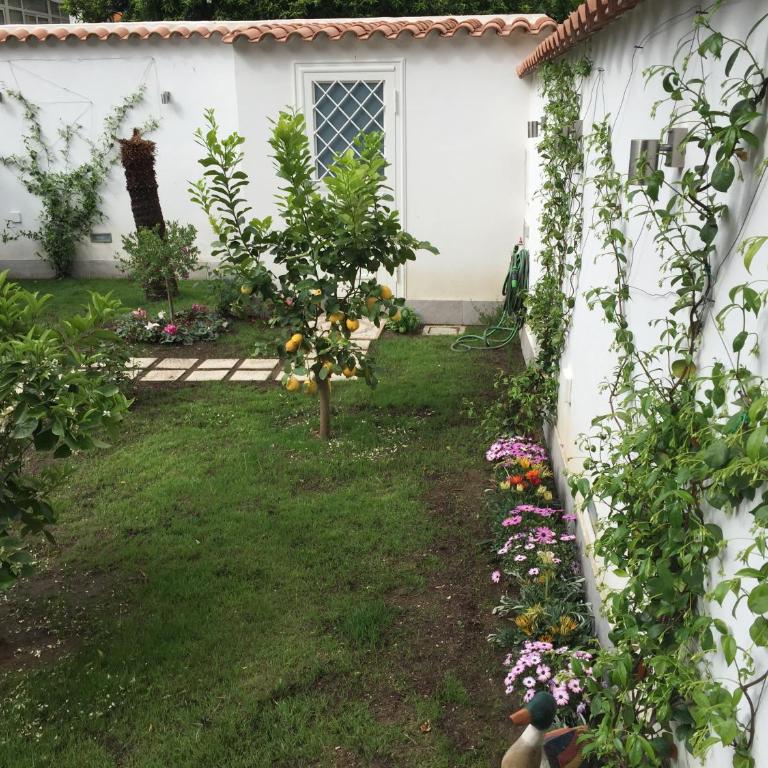 The Secret Garden in the historic center - Appartamento con Vista Giardino - 6