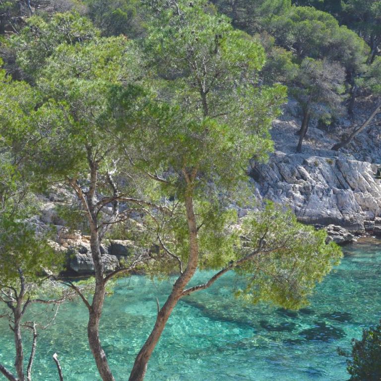 La douceur de Cassis - Apartment - 22