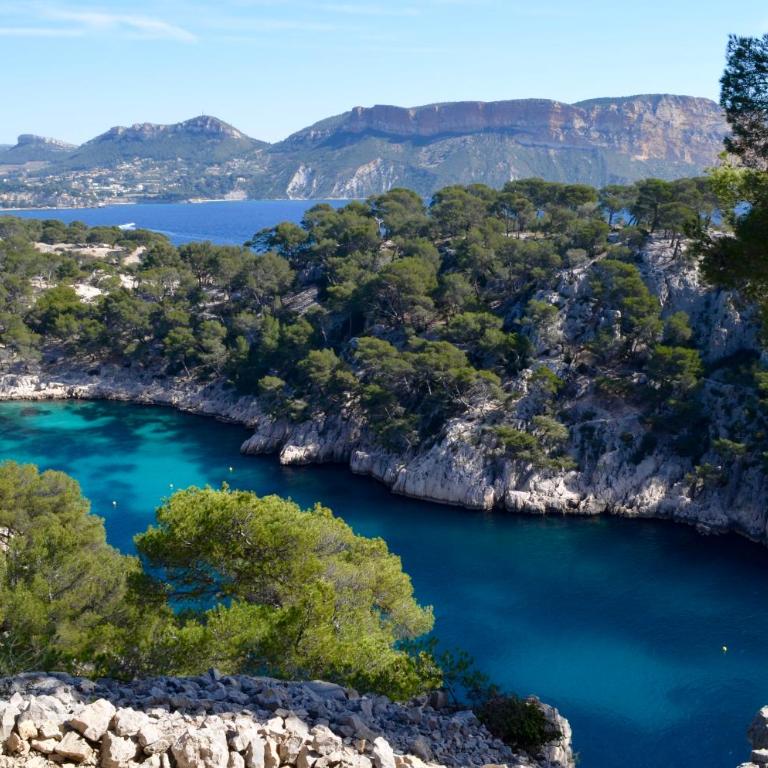 La douceur de Cassis - Apartment - 21