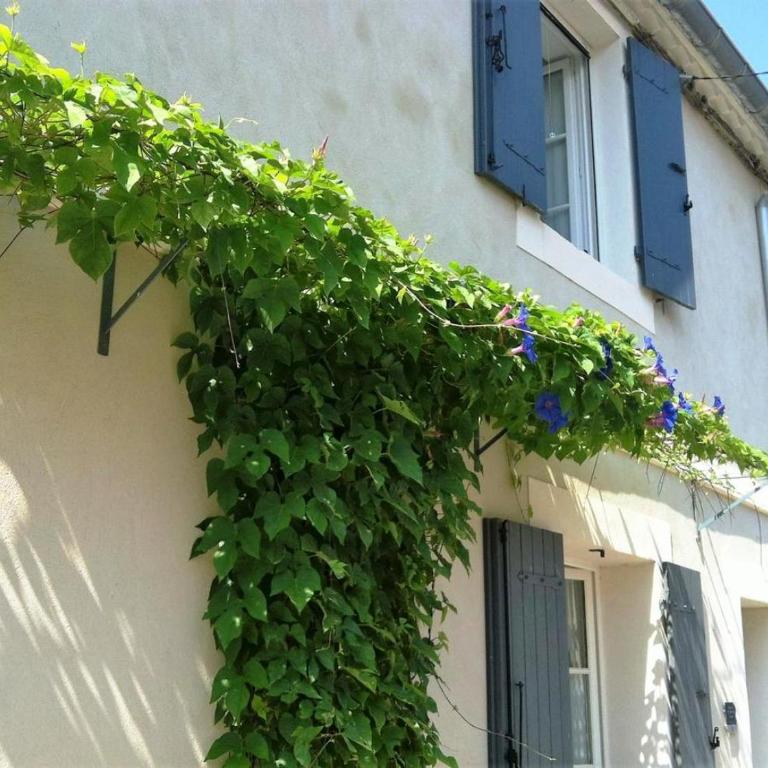 Au Cœur des Remparts - Studio Apartment - 17