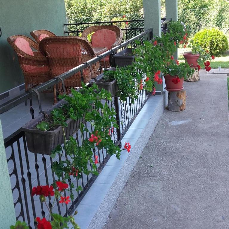 Apartment Pavlovic - Apartman - Prizemlje - 18