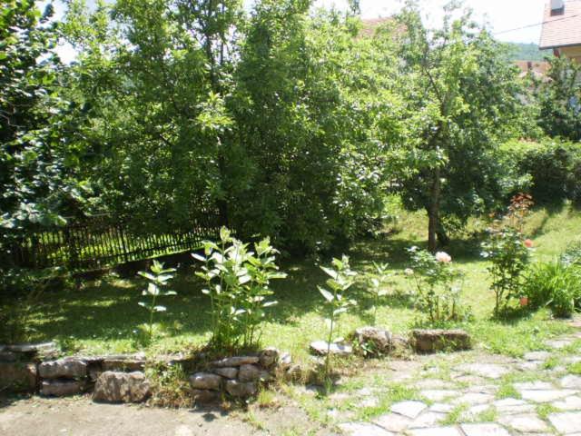 Studio Elizabeta - Apartman - 7
