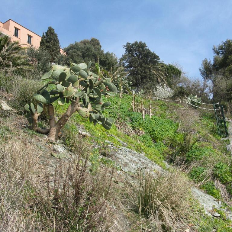 Casa delle mimose - Apartamento con vistas al mar - 24