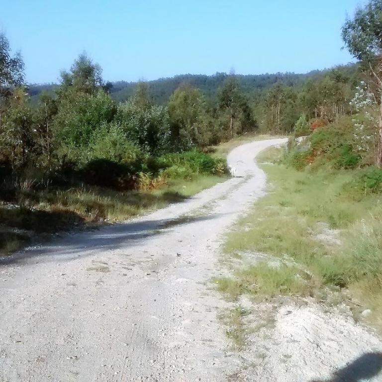 Os Salguieiros (the Willows) - Casa - 33