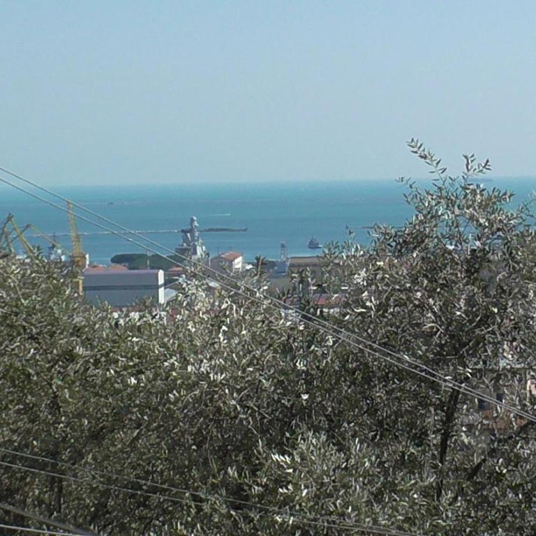 Il Golfo e i Limoni - Appartamento - 10