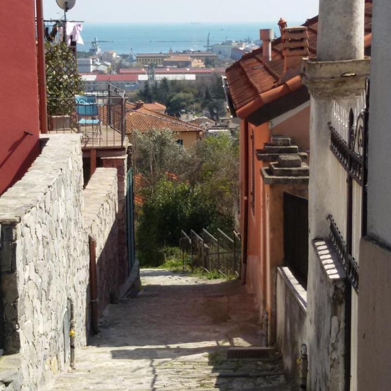 Il Golfo e i Limoni - Appartamento - 16