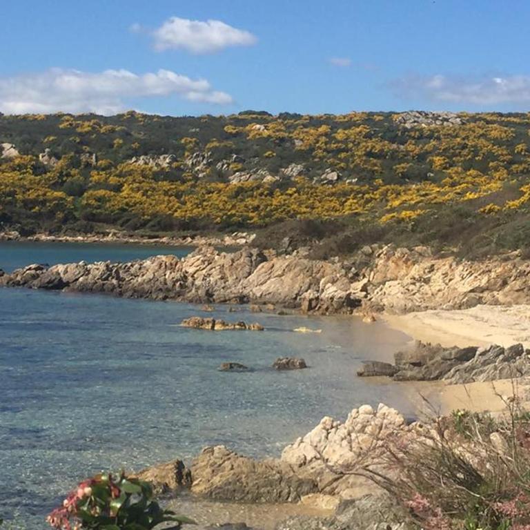casavacanza golfo aranci - Vacation Home - 16