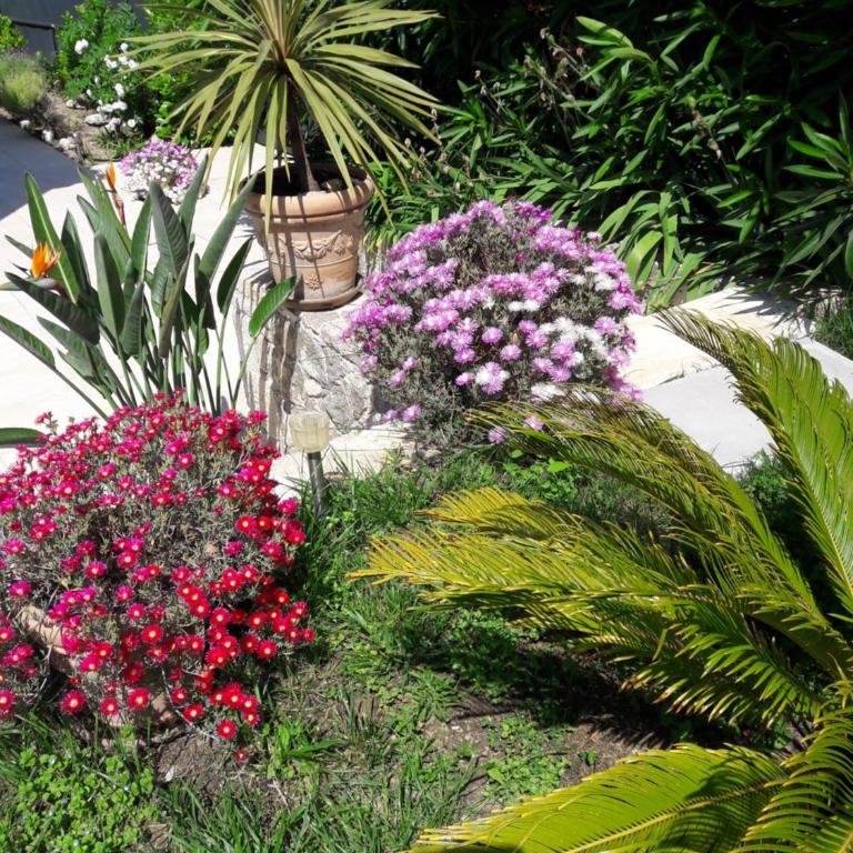 Mougins Mas lumineux vue sur le village - Villa 3 Chambres - 27