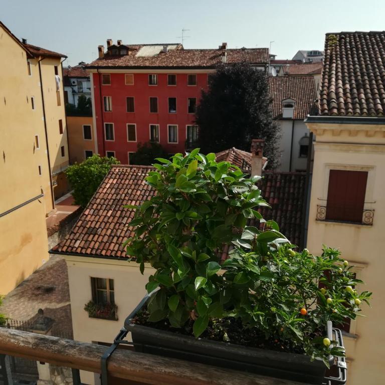 Residenza San Pietro - Appartamento - 14