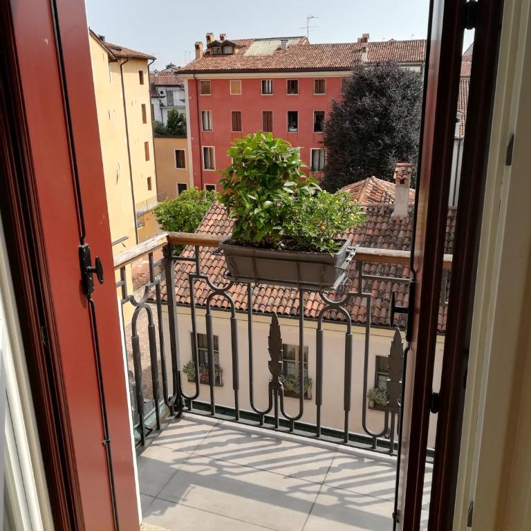 Residenza San Pietro - Appartamento - 13