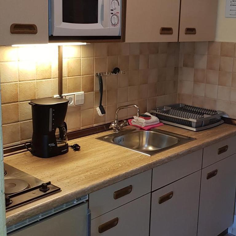 Sonnhof Reit im Winkl - Studio-Apartment - 4