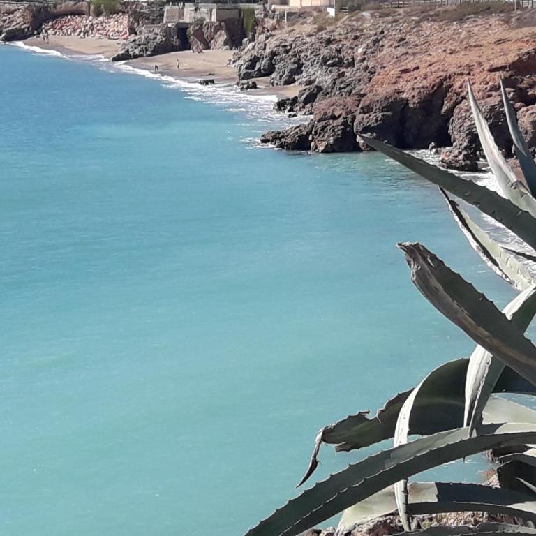 LA CORNICHE SETE 15 Rue de Savoie - Superior Studio - 19