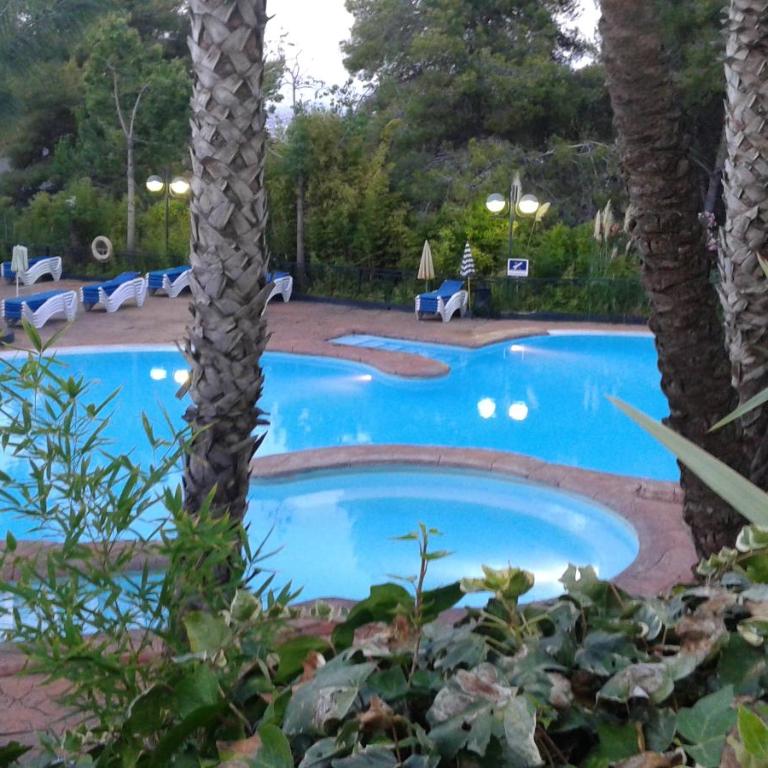 Festival village - Apartamento - 1