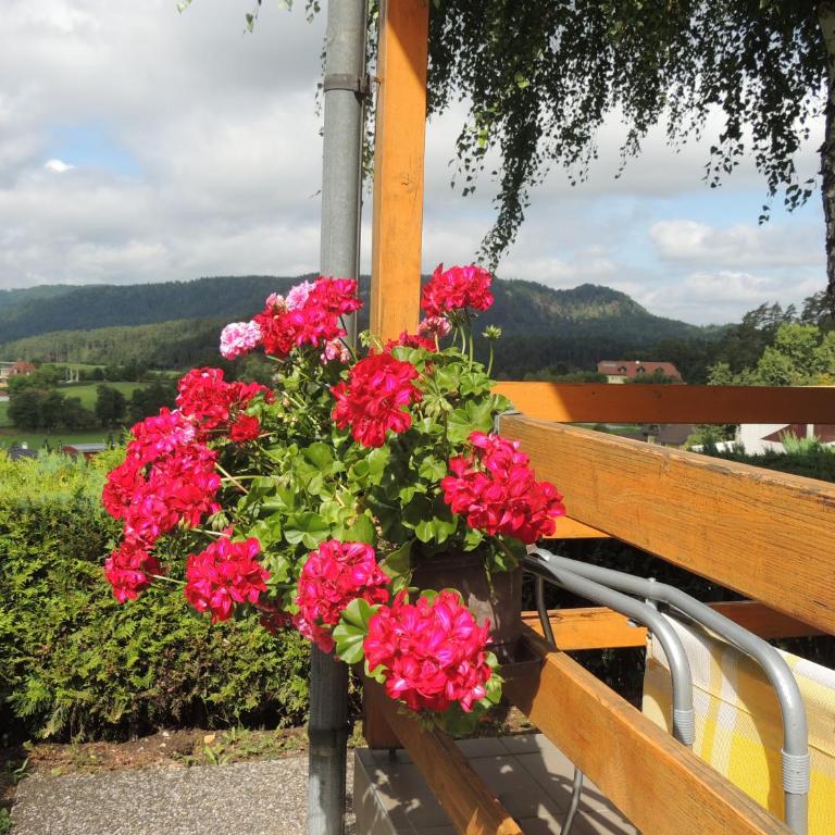 Ferienhäuser Zak - Haus mit 3 Schlafzimmern - 7