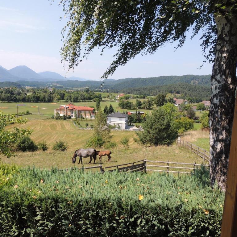 Ferienhäuser Zak - Haus mit 3 Schlafzimmern - 6